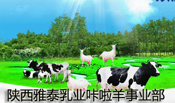 ̩I(y)I(y)
